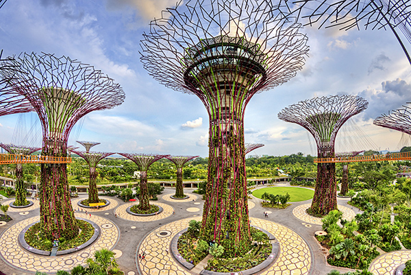 Garden by the bay 1