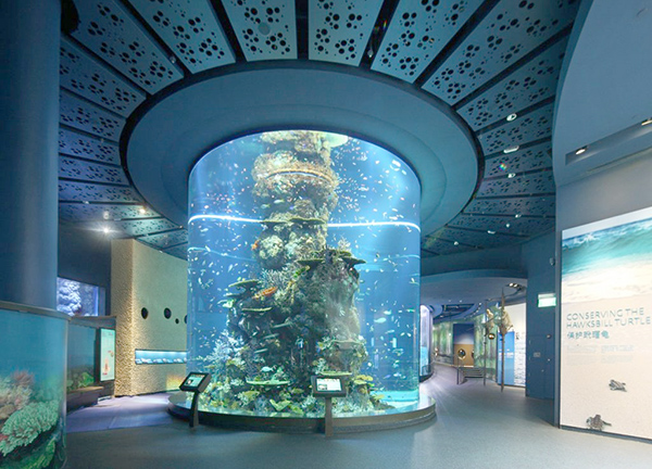 sea aquarium 2